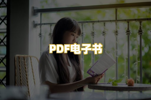 PDF电子书